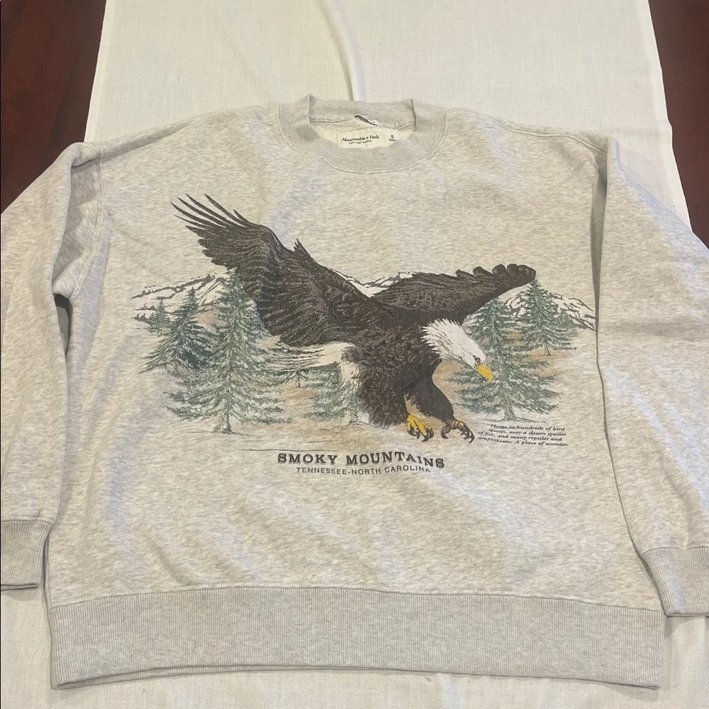 T0102107 A&F Smoky Mountains Tennessee North Carolina sweatshirt Oversized SZ S - Picture 1 of 6